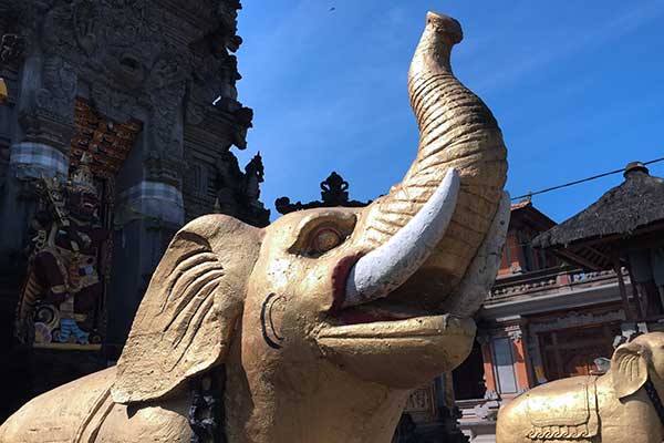 Bali.com