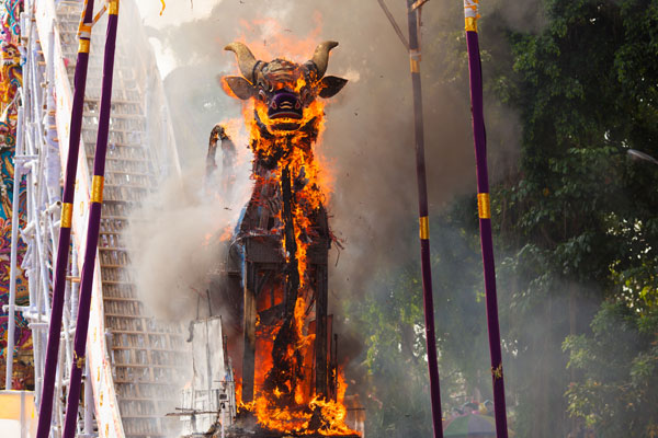 the casket in the form of a cow (lembu) sets on fire