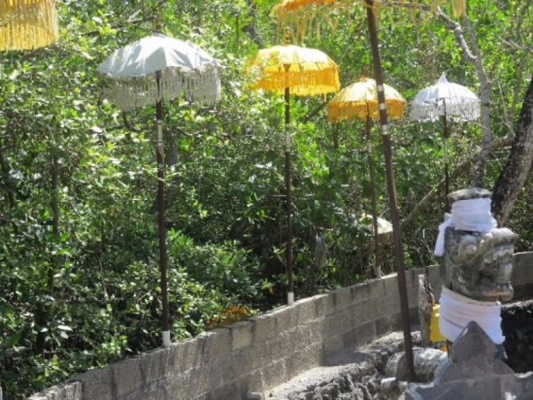 dalempengembak1 768x576