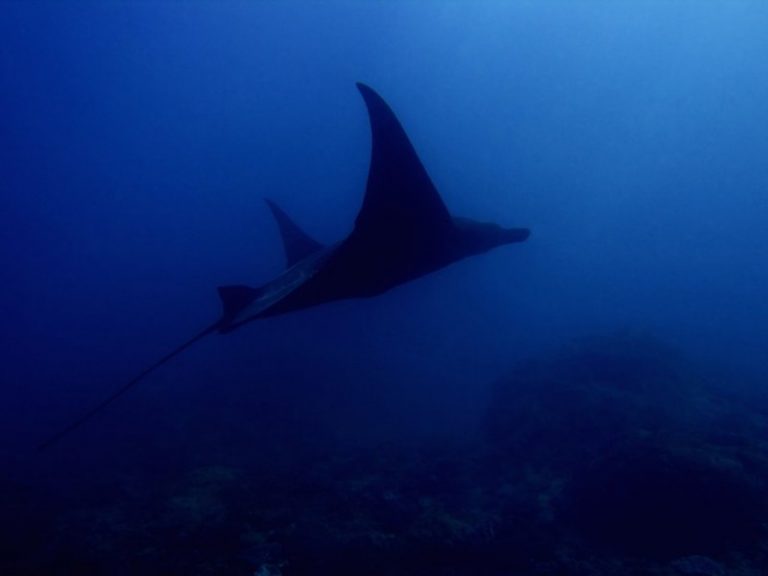 Malibu Point - Nusa Penida