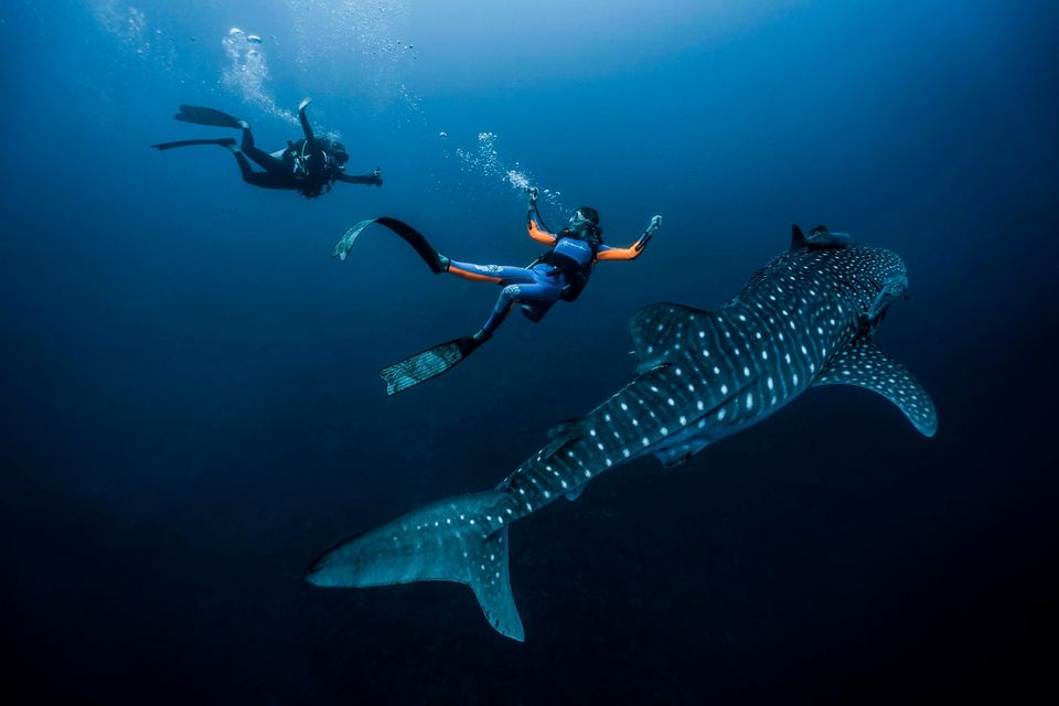 Scuba Diving Centers In Bali