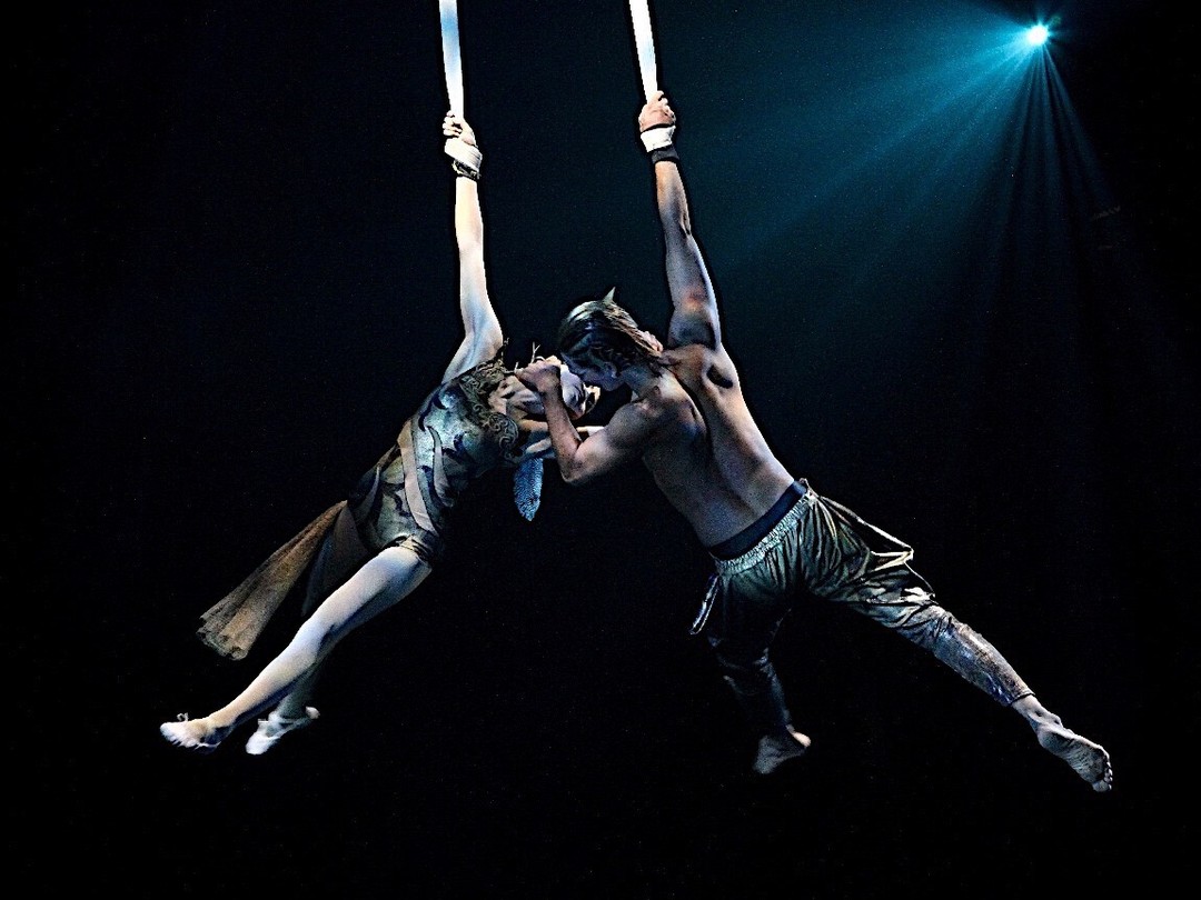 118671150 3501210579889962 7941442866445879641 o