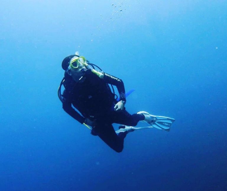 58444130 818692445152985 908352056589287424 o 768x646