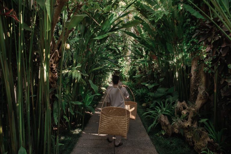 69747084 2163222760650976 8733427104307216384 o 768x512