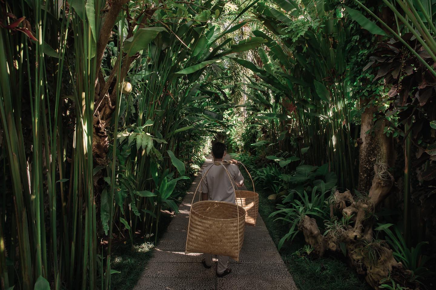 69747084 2163222760650976 8733427104307216384 o