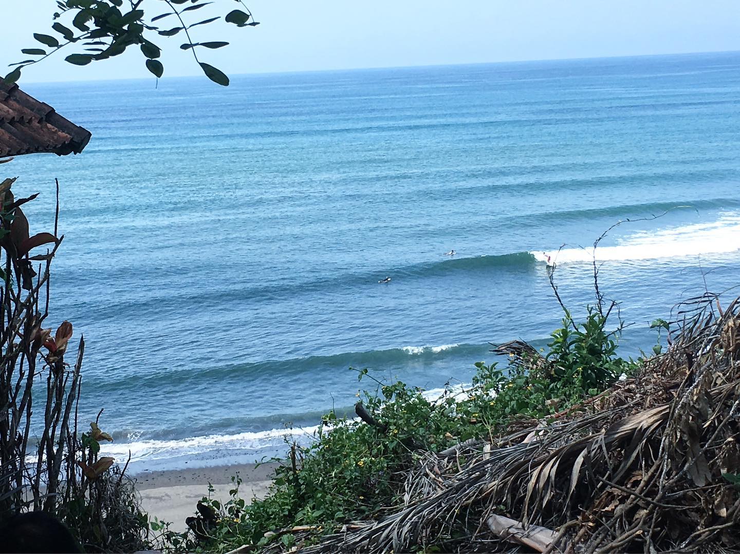 78471997 2552956374819392 7233431435699290112 o