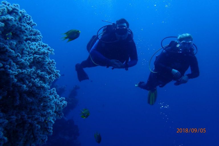 92031579 2328578110778583 1921993015941922816 o 768x512