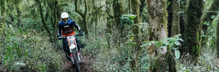 Bali Dirt Bikes Kintamani Forest Slider1 768x255