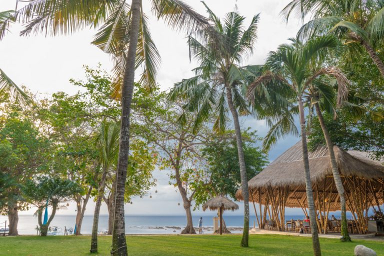 DSC2546 resize 768x512