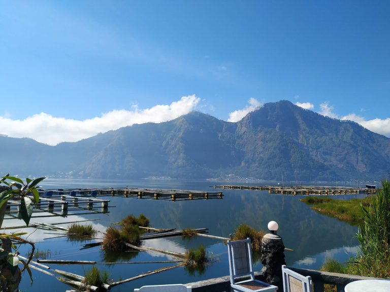 IMG 20200809 100031 768x576