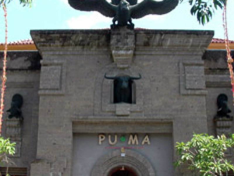 zacht Symptomen inhalen Putrawan Museum of Art (PUMA) - Bali.com
