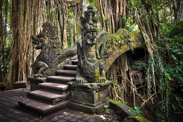 Bali.com