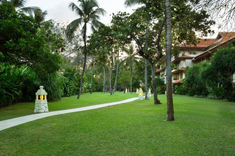 dpswi garden 7872 hor clsc 768x512