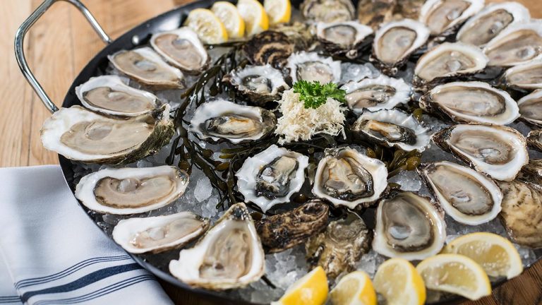 seafood oysters full 768x432