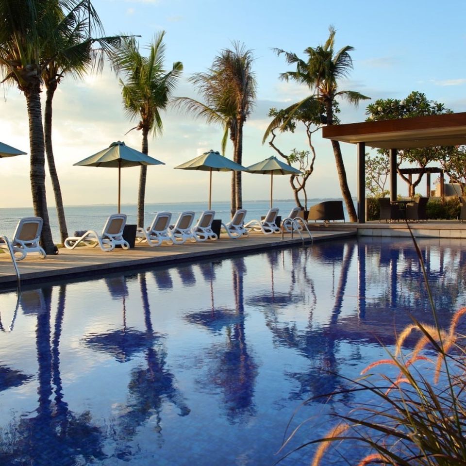 116585516 2763514603972396 1636575441461981113 o