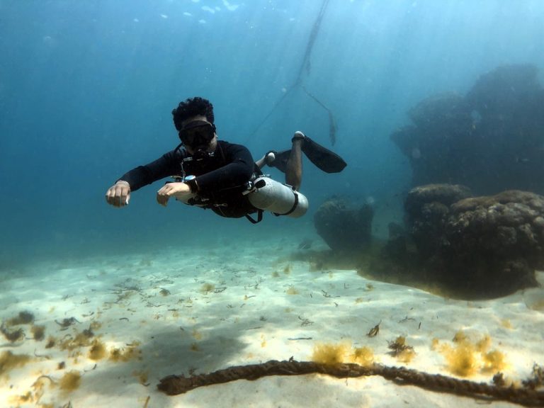 117526014 10157546490918202 4038264280879885788 o 768x576