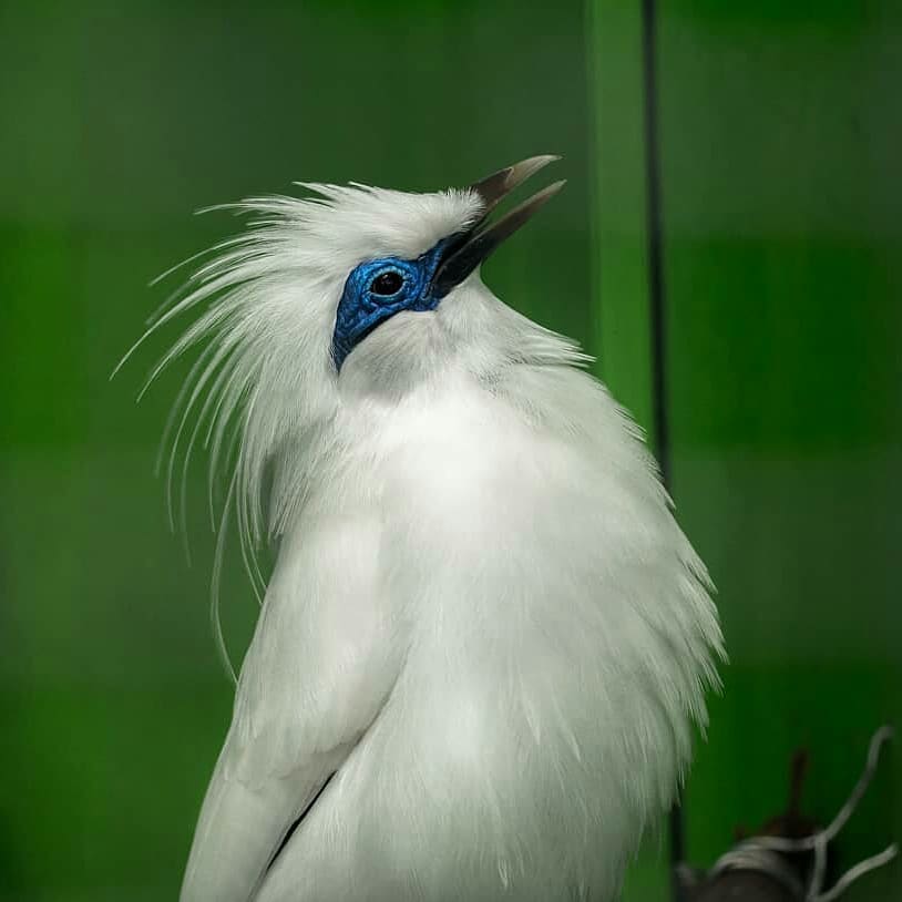 47205300 1951994334891655 2660461158716145664 n