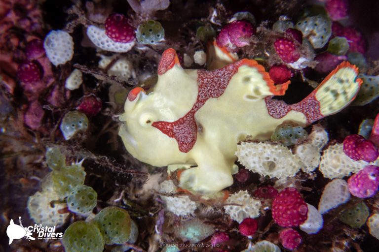 79389226 10156815797763202 5611228910839660544 o 768x512