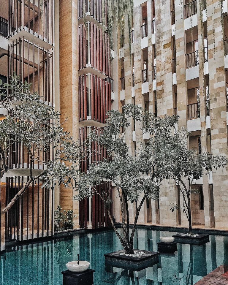 79848981 10156343937455738 2151673367122411520 o