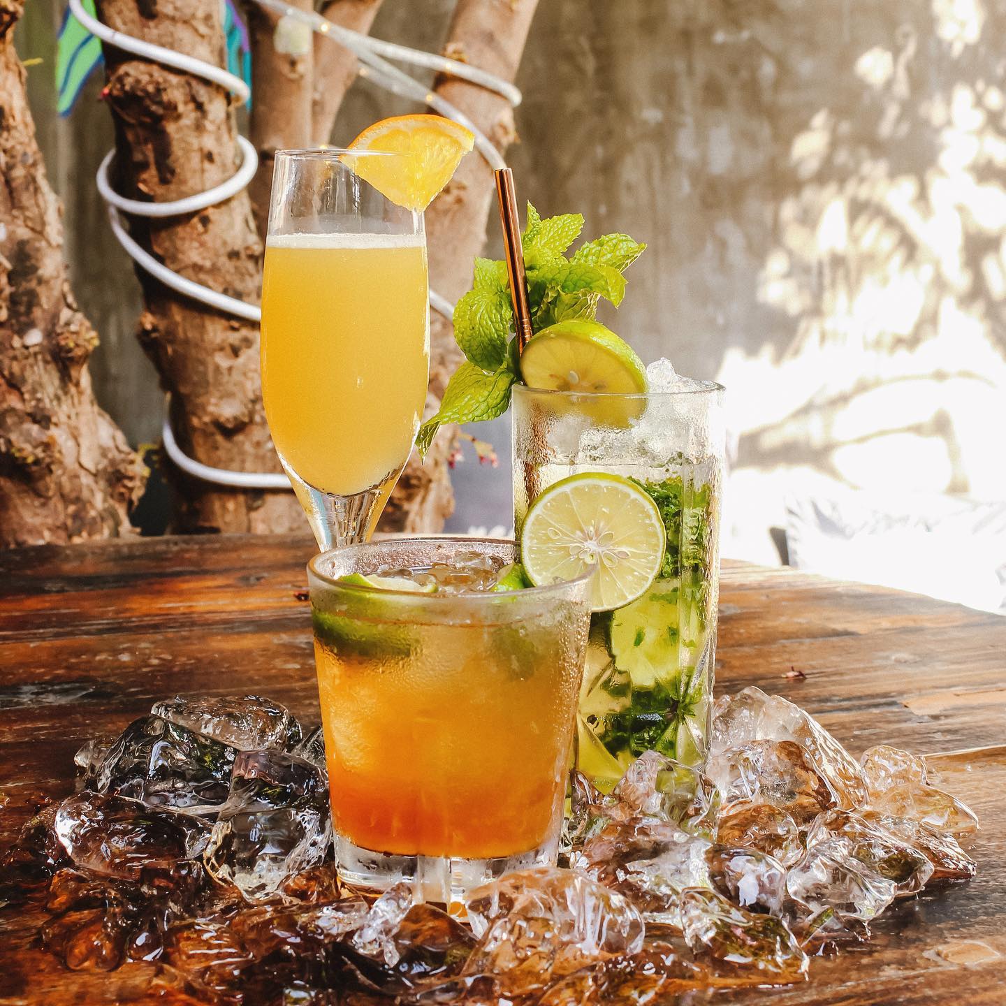 90116312 2846891698720923 7835616357751193600 o