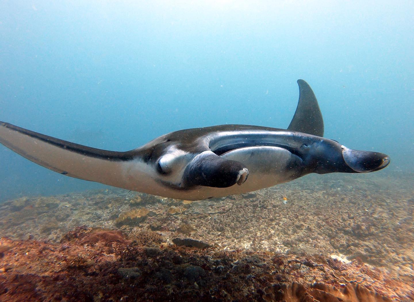 90360101 2875420145878139 8785073729559330816 o