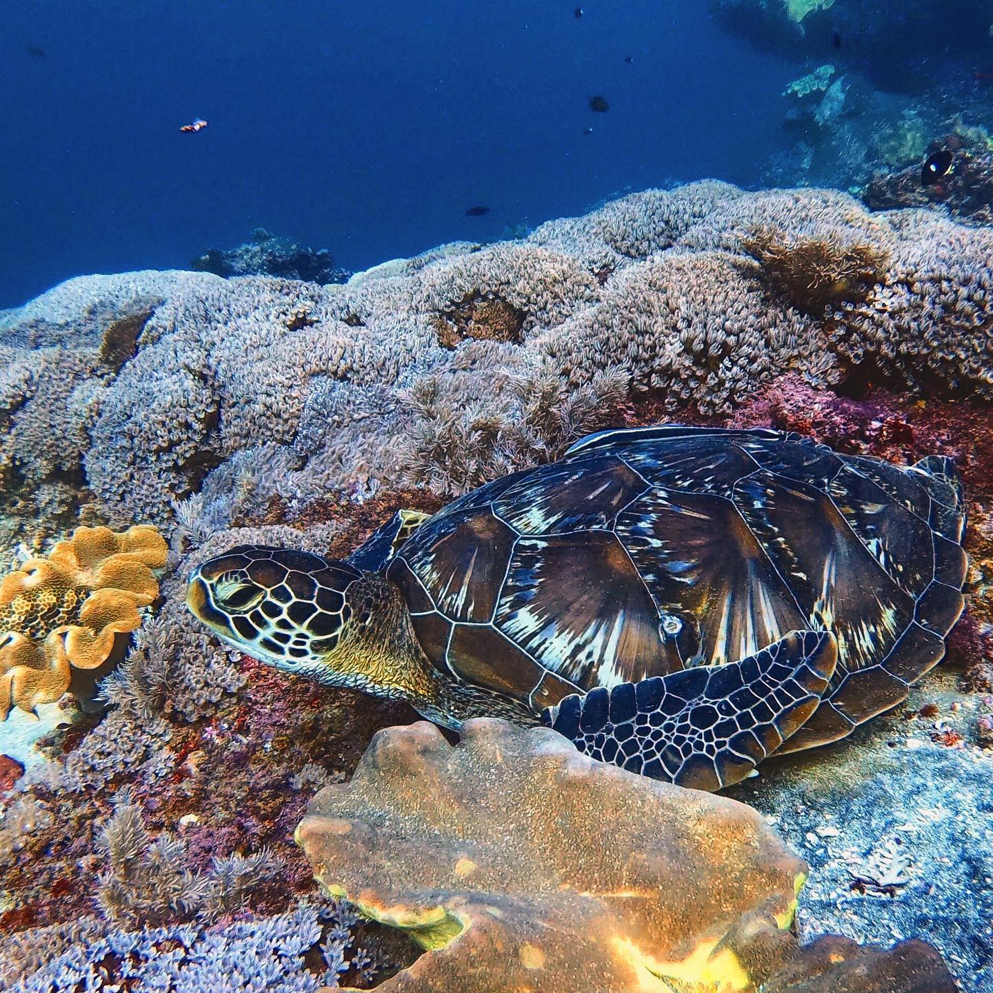 90513406 2875420529211434 4232417698698493952 o