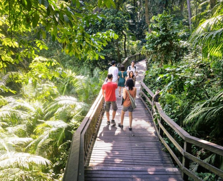 DSC 3795 845x684 1 768x622