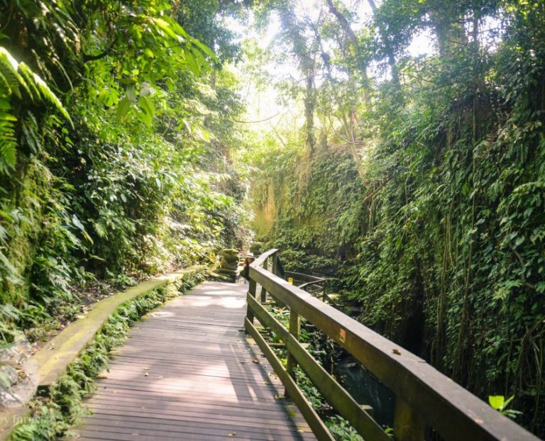 DSC 3839 845x684 1 768x622