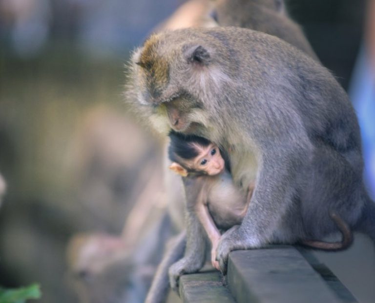 DSC 8792 845x684 1 768x622