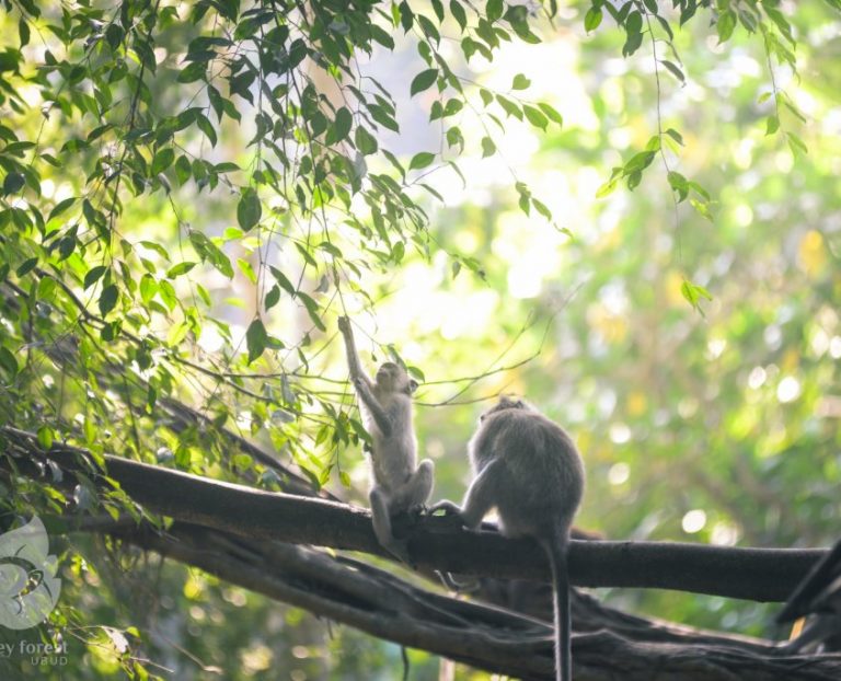 DSC 8807 845x684 1 768x622