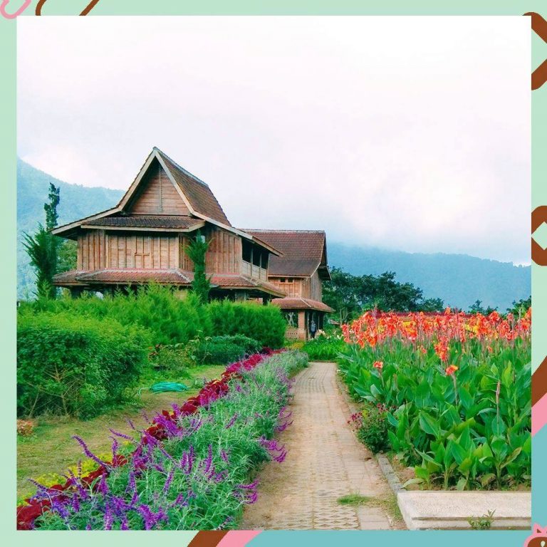 118579116 2751727591751820 4086555421538763016 o 768x768