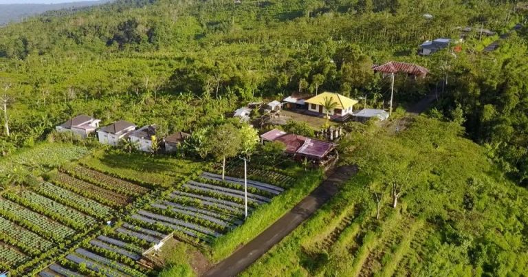 17156072 650908138453596 4797093148031827767 n 768x403