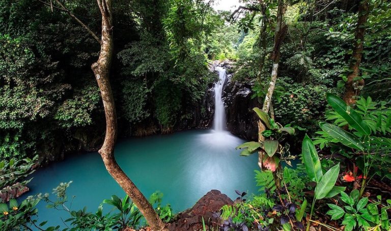 Aling Aling waterfall in bali 768x454