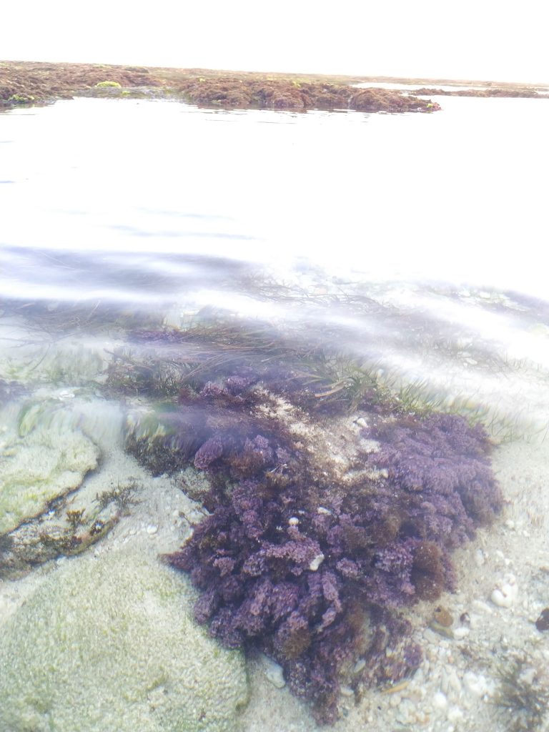 IMG 20190505 172220 768x1024