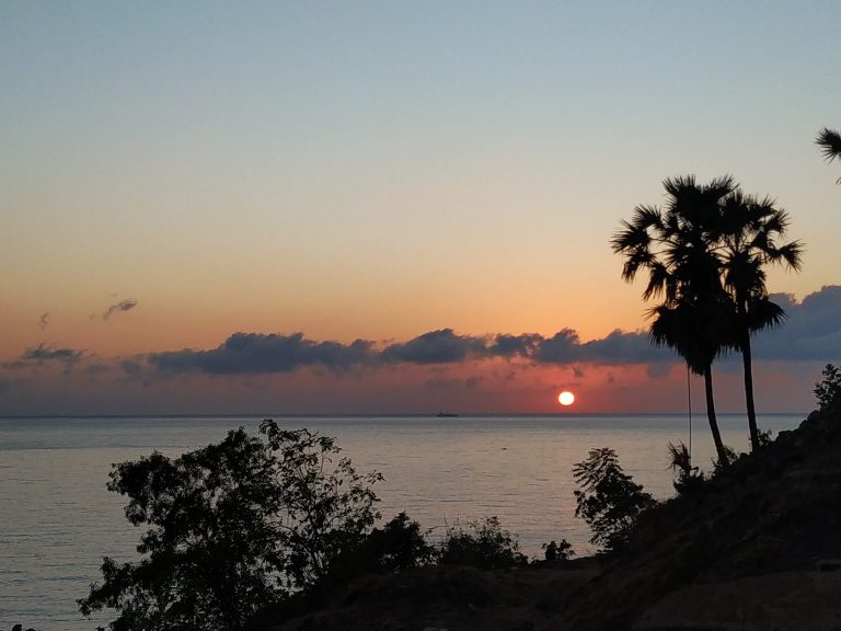 IMG 20200816 062934 768x576