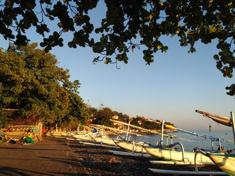 IMG 20200816 065347 768x576