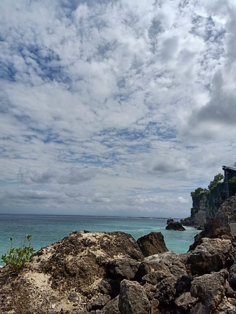 WhatsApp Image 2020 11 20 at 12.10.01 2