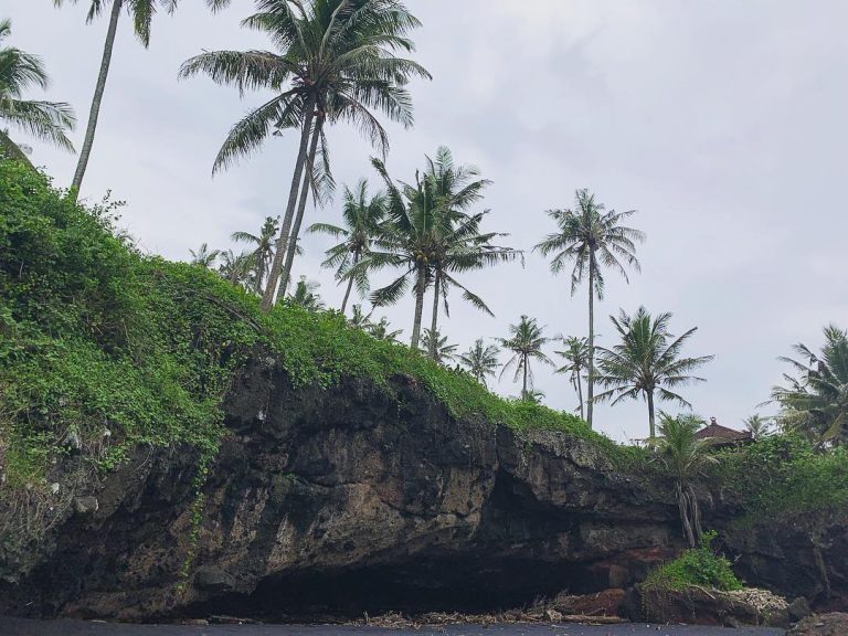 WhatsApp Image 2020 11 24 at 14.55.56 768x576