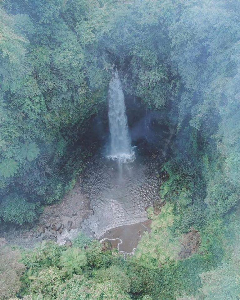 WhatsApp Image 2020 11 24 at 15.07.24 1 768x957