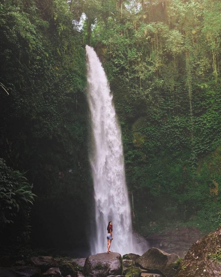 WhatsApp Image 2020 11 24 at 15.07.24 2 768x960