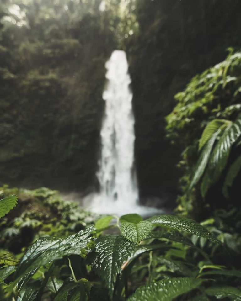 WhatsApp Image 2020 11 24 at 15.07.24 768x960