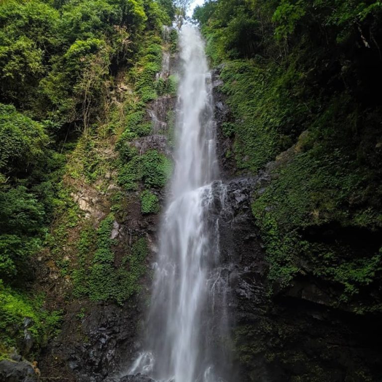 WhatsApp Image 2020 11 24 at 15.17.39 1 768x768