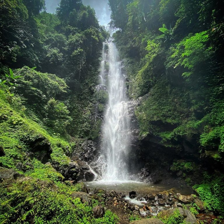 WhatsApp Image 2020 11 24 at 15.17.39 768x768