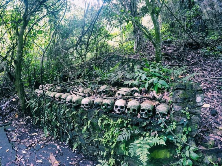 desa trunyan balicom 768x576