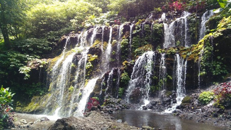 i forgot the name but 768x432