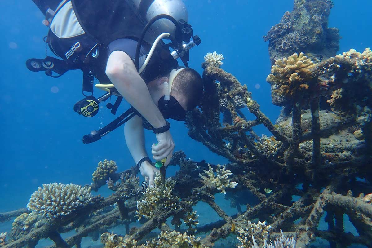 Underwater Garden Project in Bali