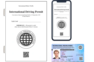 IDP international driving permit format