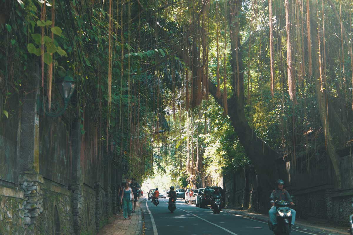 Ubud Street in One Fine Afternoon