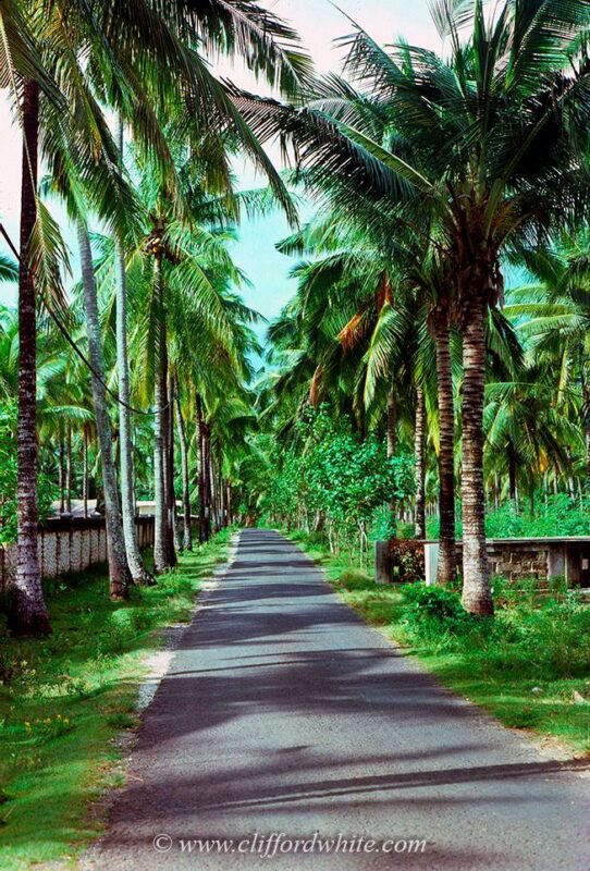 Bali.com