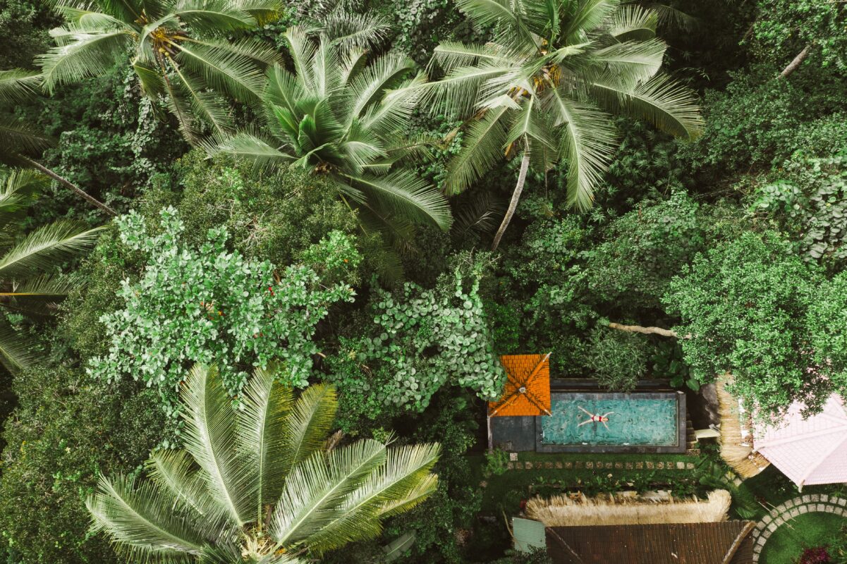 Bali.com